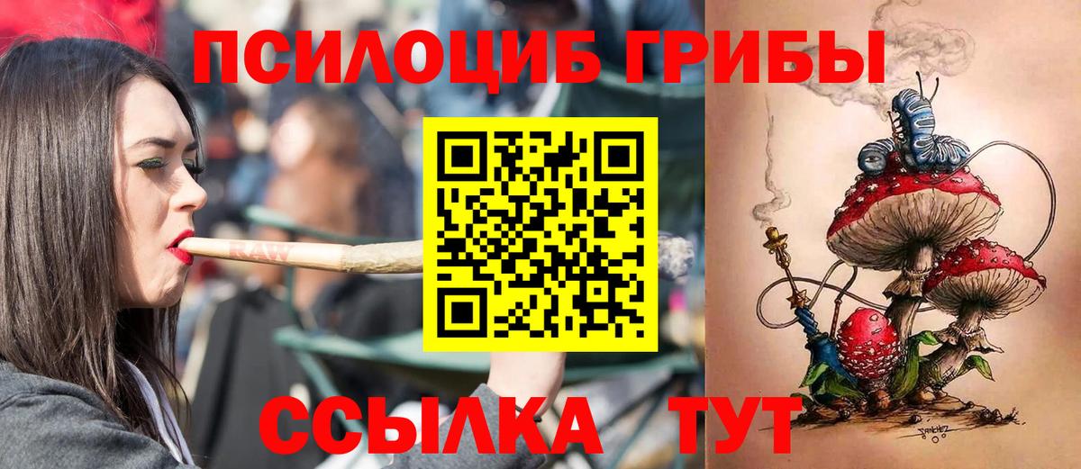 Галлюциногенные грибы Magic Shrooms Кузнецк